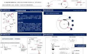 基因工程原理和技术，基因工程原理和技术内容及目录
