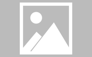 潍坊松鼠ai，潍坊松鼠ai新华路校区电话