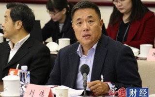 刘伟ai镜，刘伟视频