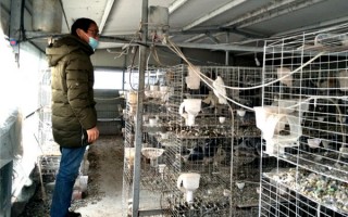 养殖技术专业网，养殖技术专业网如何发布付费文档