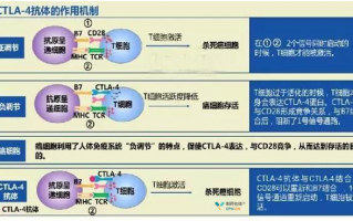 免疫检验技术名词解释，免疫检验技术名词解释是什么